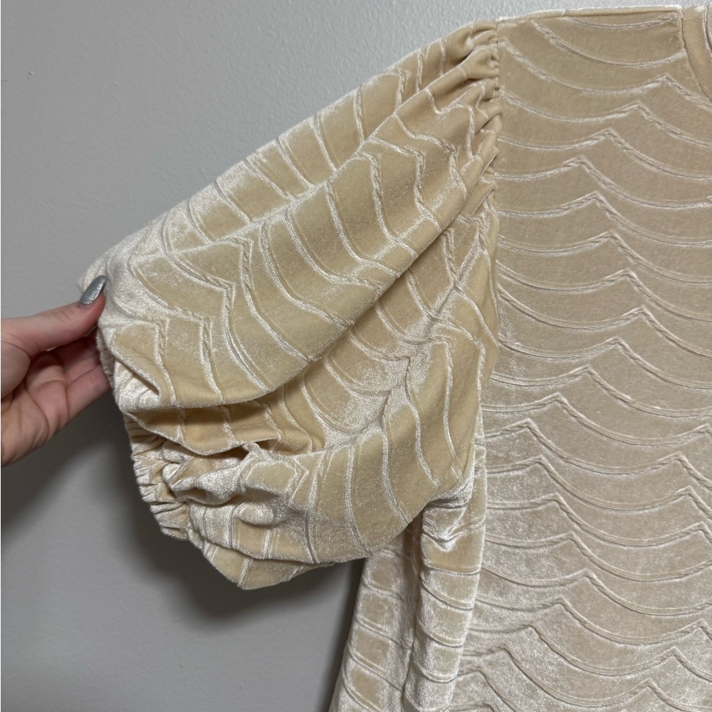 THML Cream Puff Sleeve Velvet Top - Picture 6 of 8